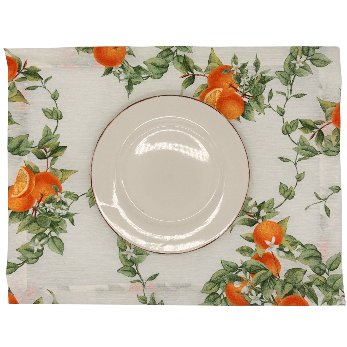 Set 4 Individuales antimanchas Naranjas