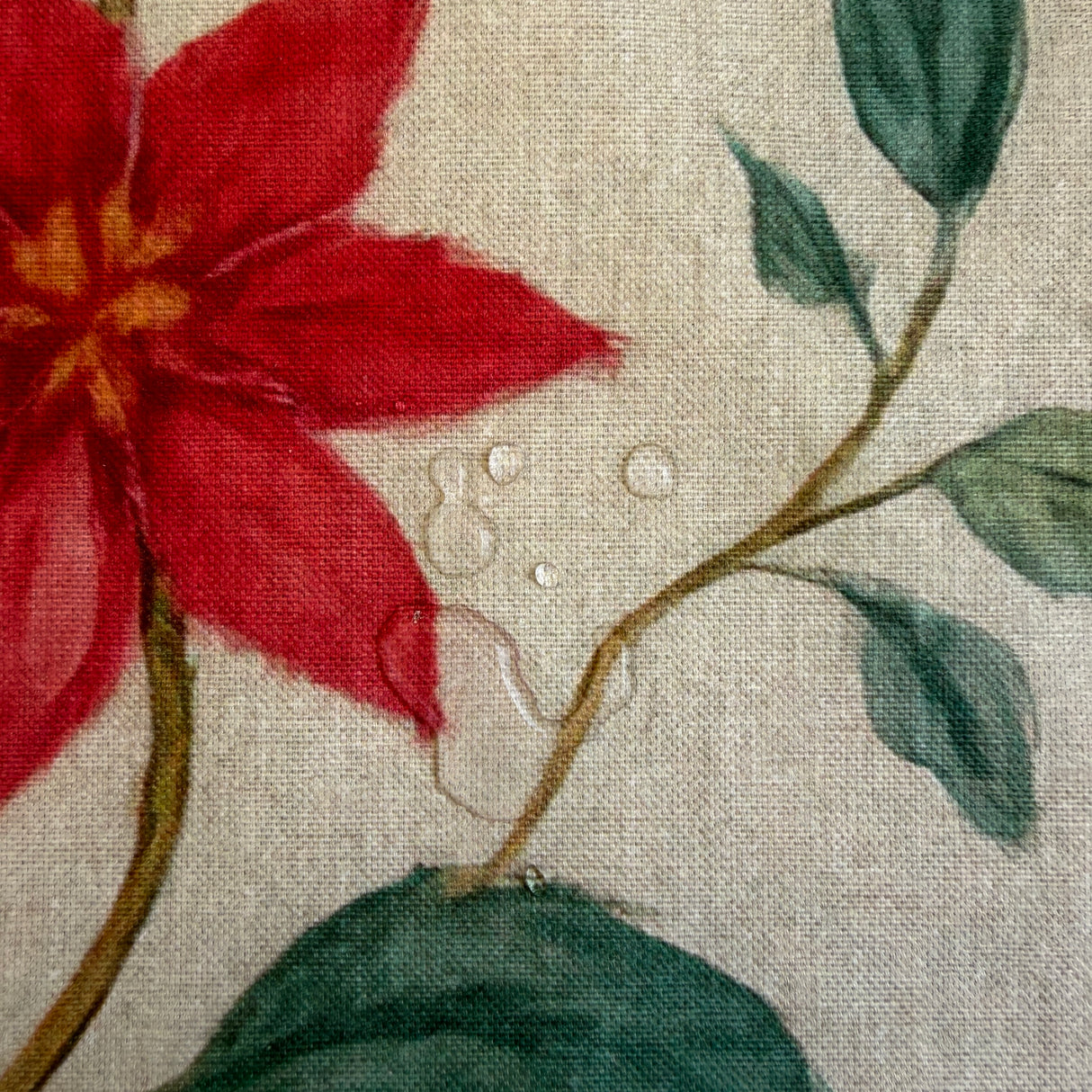 Mantel antimanchas rectangular Flor de Pascua