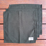 Pack Jurassic (individual + 4 servilletas)