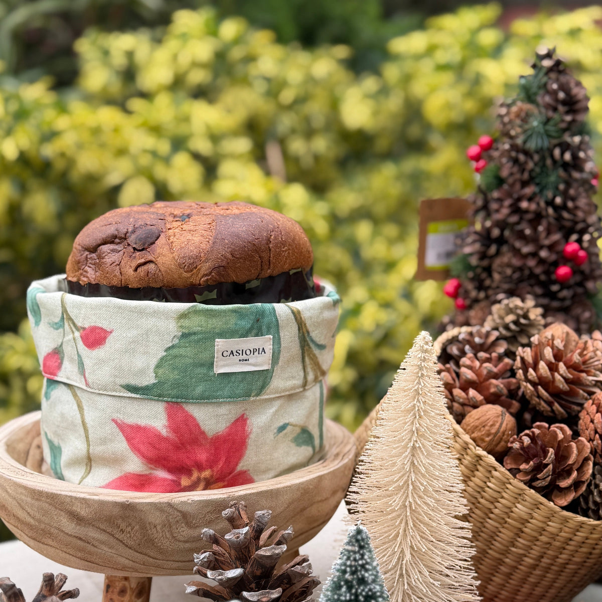 Panera Flor de Pascua