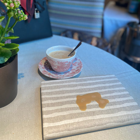 Detalle de la agenda con tela antimanchas de casiopia. Facil de limpiar y perfecta para regalo